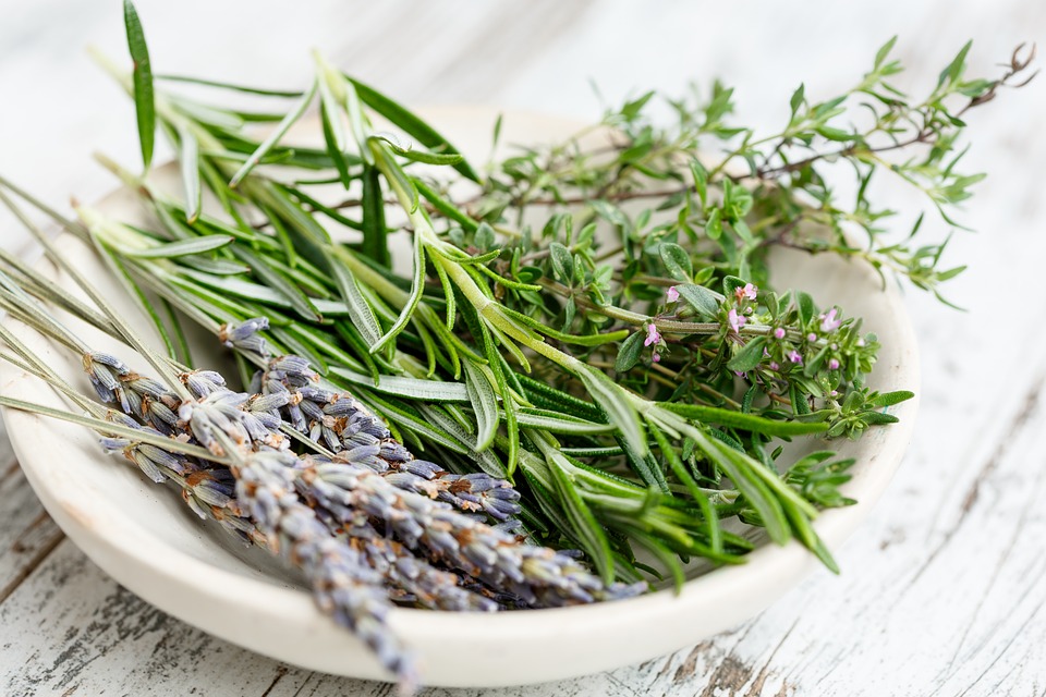 How to Use Lavender Oil for a Yeast Infection_