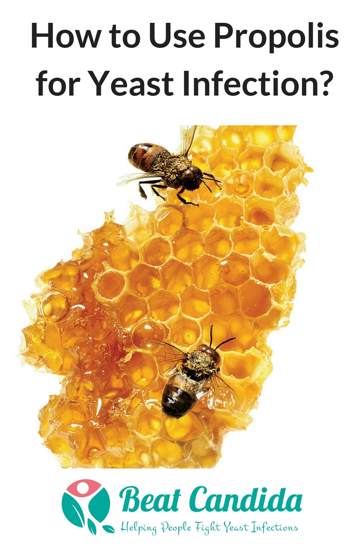 How to Use Propolis for Yeast Infection
