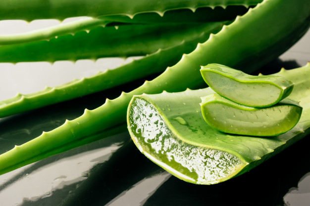 aloe vera e candida