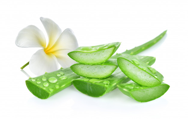 Aloe vera kills Candida cells