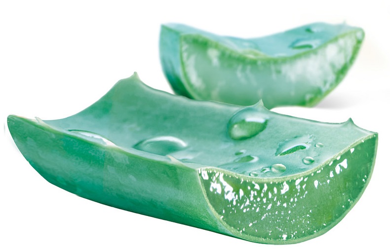 100 Pure Aloe Vera Gel Review Beat Candida