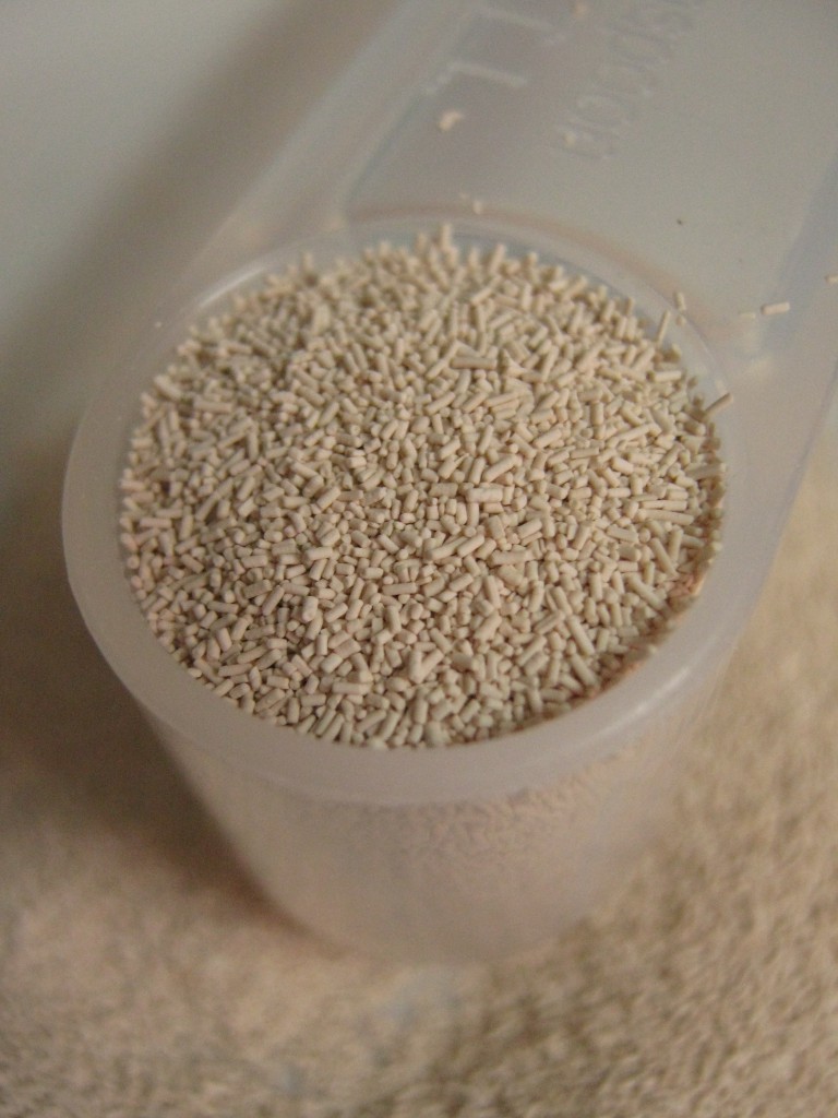 Does Eating Yeast Cause Yeast Infections? Beat Candida