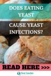 Does Eating Yeast Cause Yeast Infections? - Beat Candida