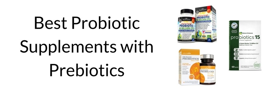 Best Prebiotic Probiotic Supplements (2)